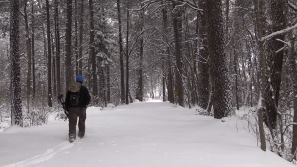 Pěší turistika ve sněhu — Stock video