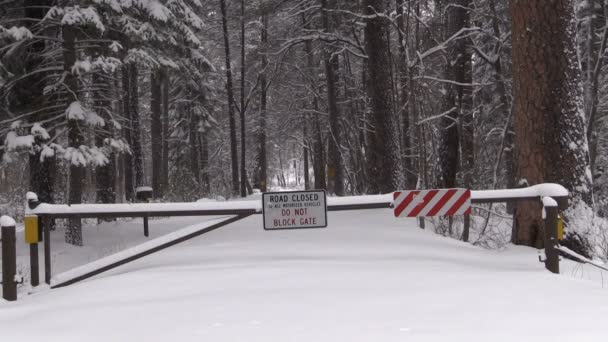 Camino cerrado en invierno — Vídeo de stock