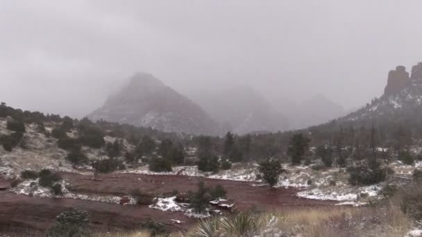 Vinter snöstorm Sedona Arizona — Stockvideo