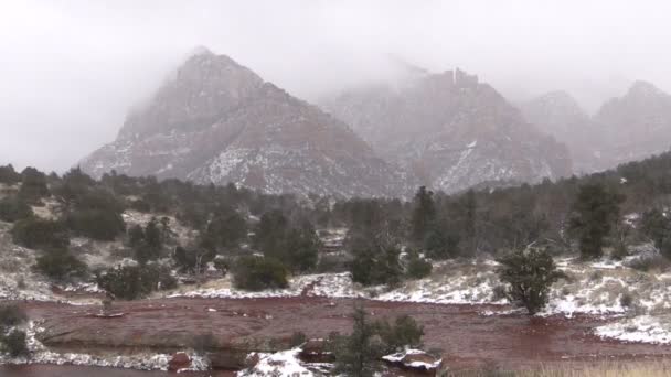 Winter sneeuwstorm Sedona Arizona — Stockvideo