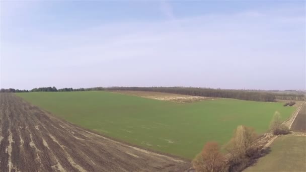 農村の春の緑の野上水平飛行。空中 — ストック動画