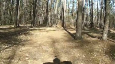 Bisiklet park veya güneşli bir gün ormanda bahar gezisi