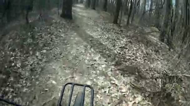 Spring trip by bicycle on park or wood in  sunny day. Forward wheel — Stock Video