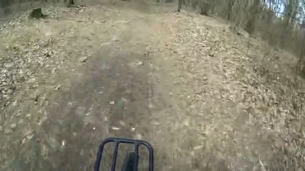 Szybkiej jazdy na rowerze na drewnie. Weel .lpov klip — Wideo stockowe