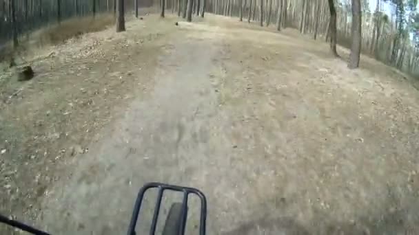 Schnelles Fahren mit dem Fahrrad auf dem Wald. weel .lpov clip — Stockvideo