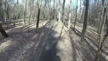 Bisiklet park veya adam gölge güneşli gün ormanda bahar gezisi