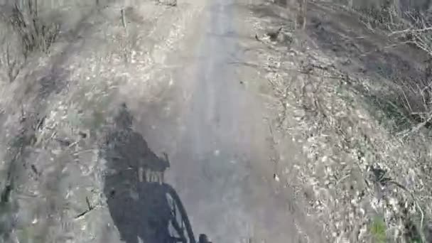 Frühjahrsausflug mit dem Fahrrad auf Park oder Wald bei sonnigem Tag mit Mannschatten — Stockvideo