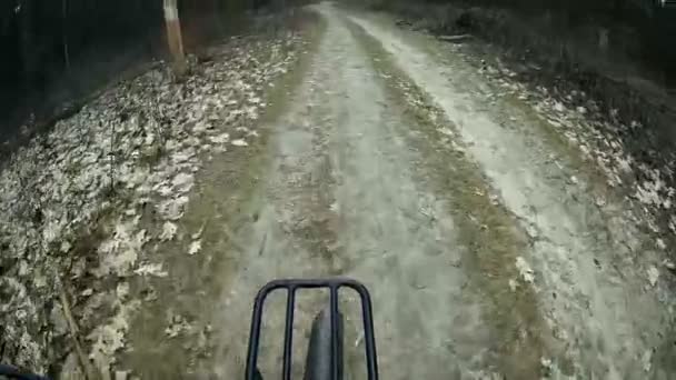 Viaje de primavera en bicicleta en parque o madera en un día soleado. Rueda delantera — Vídeo de stock