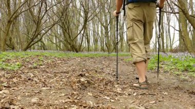  100 FPS 'de yavaş çekim. İnsan yürüyüşçüsü Orman yolunda uzaklara gider.