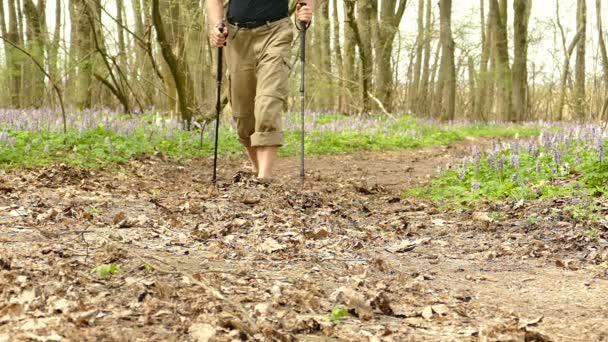 Fötter av mannen vandrare i våren trä. Hälsosam livsstil. Slow motion på 100 Fps — Stockvideo