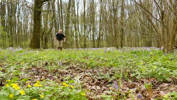 Slow motion op 100 Fps. volwassene Man wandelaar reiziger draaien op groene lente bos — Stockvideo