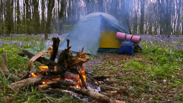 Movimento lento a 100 FPS. Fogueira, fogueira e acampamento de tenda turística com mochila . — Vídeo de Stock