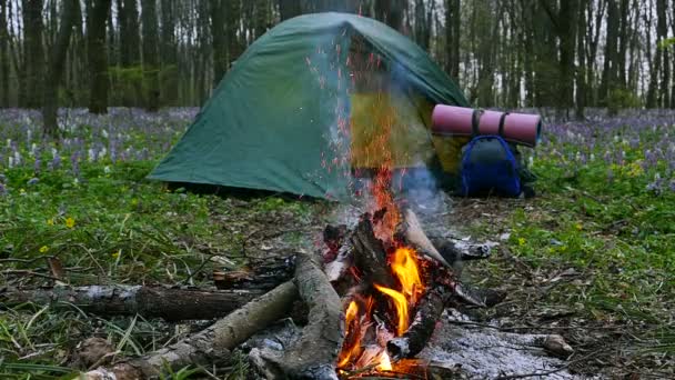 Slow motion på 100 Fps. brasa, lägereld gnistor och turist camping tält — Stockvideo