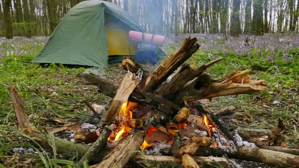 Movimento lento a 100 FPS. Fogueira, fogueira em madeira e tenda com mochila . — Vídeo de Stock