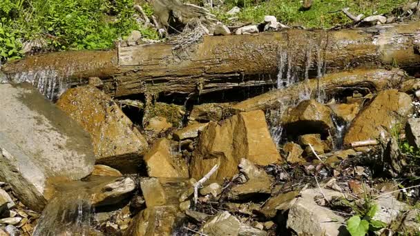 Slow motion. Vatten i små vattenfall. — Stockvideo