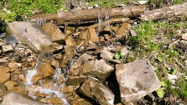 En cámara lenta. Agua en cascada pequeña. Cambio de enfoque — Vídeos de Stock