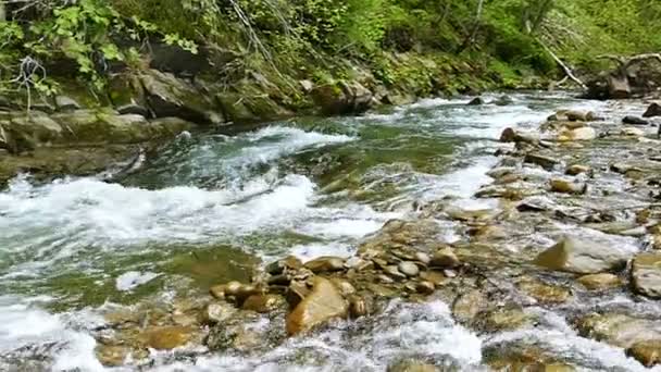 Slow motion. Panorama of mountain stream or river — Stock Video