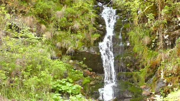 Zeitlupe. kleiner Wasserfall aus Holz — Stockvideo