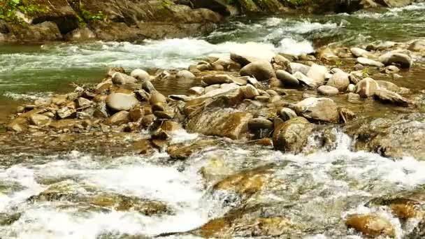 Au ralenti. Ruisseau de montagne avec pierres — Video