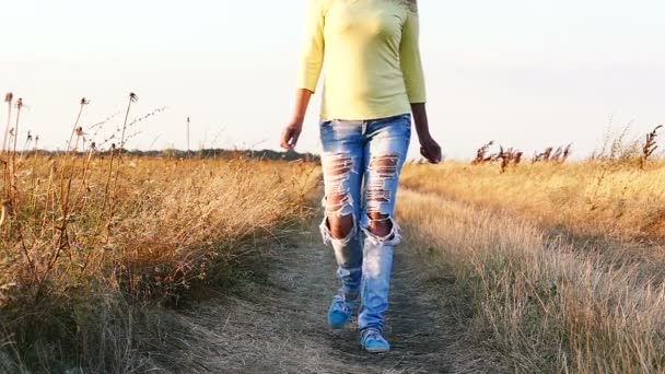 Au ralenti. Serios femme adulte en jeans à la mode va sur la route de terre — Video