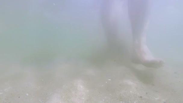 Взрослый счастливый мужчина делает селфи на берегу моря и улыбается — стоковое видео