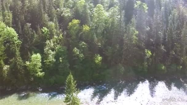 Yanal uçuş düşük yükseklikte dağ nehir üzerinde. Hava — Stok video
