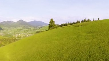 Hava. Dağ tepe ağaç üzerinde uçuş.