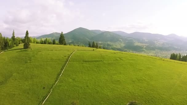 Luchtfoto. Vlucht over zomer heldere berg heuvels — Stockvideo