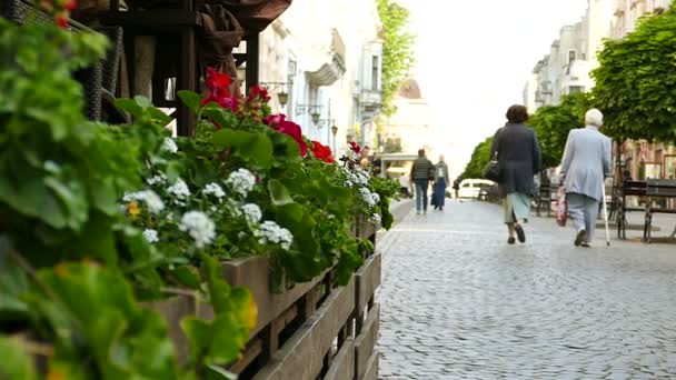 Slow motion. Stad i sommardag. Okända människor och blommor — Stockvideo