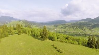   Hava. Yaz parlak dağ tepeler ağaçlarla üzerinde yanal uçuş