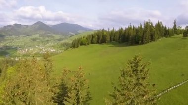  Hava. Yaz parlak dağ tepeler ağaçlarla üzerinde uçuş