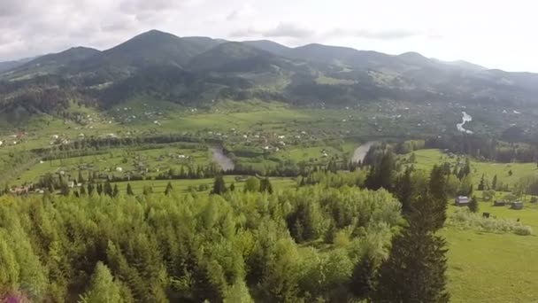 Aéreo. Vôo traseiro sobre colinas de montanha brilhantes de verão com árvores — Vídeo de Stock