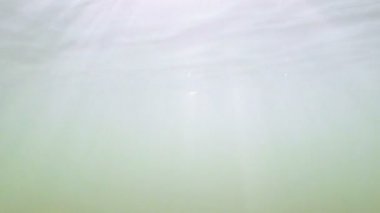 Güneş ışığı, güneş ve deniz. Sualtı çekimi