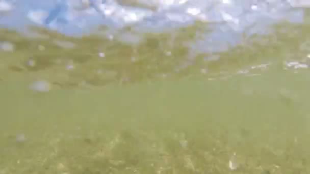 Moře řízení surf v slunečný den. Letní čas — Stock video