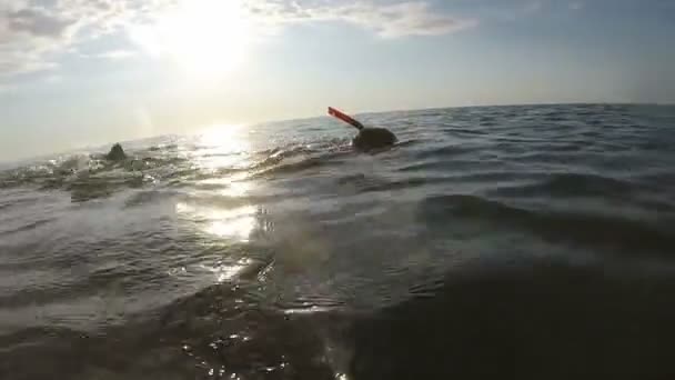 Человек отдыхает в море, снимает селфи с улыбкой и ластами — стоковое видео