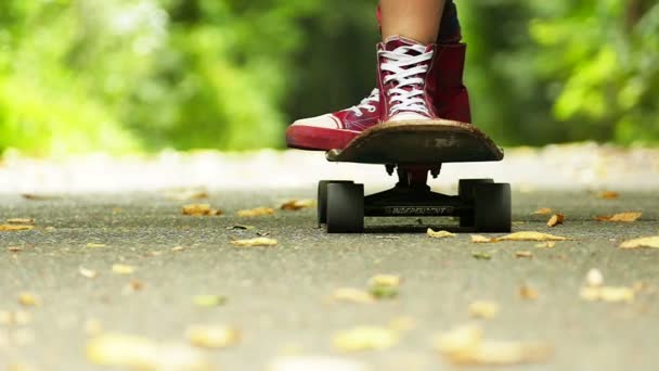 Tinédzser lány lába gördeszka zöld park megközelítés. Lassú mozgás — Stock videók