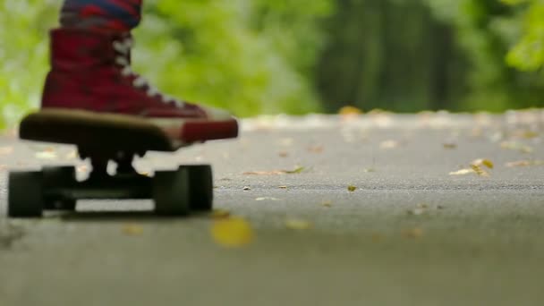 Дівчина-підліток ноги зі скейтбордом в зеленому парку відходять. Повільний рух — стокове відео