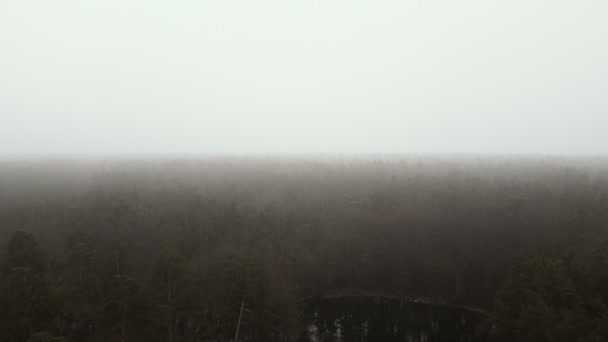 Aerial Sopra Alberi Lago Giorno Nuvoloso Nebbioso Paesaggio — Video Stock