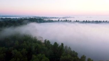 4K Havacılık. Sabah sisle nehir üzerinde uçmak. Güzel manzara 
