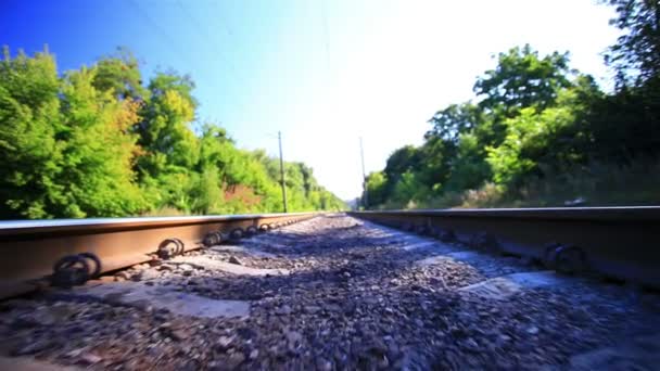 Movimento su rotaia. Animale POV rallentatore — Video Stock