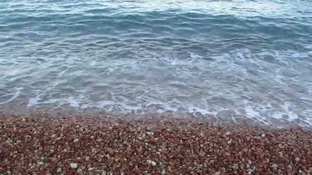 Sea coast with blue water of  sea — Stock Video