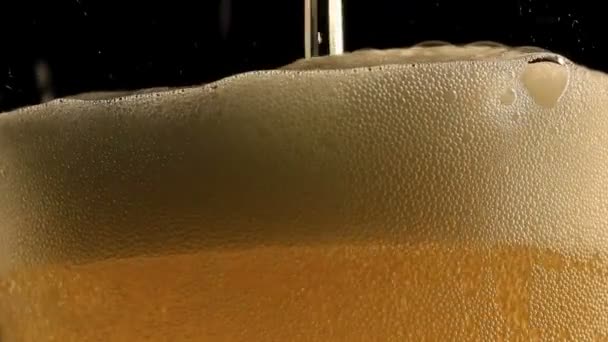 Glass, beer and bubbles. Macro — Stock Video