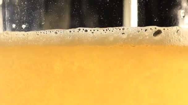 Μπύρα που χύθηκε σε ένα ποτήρι. Μακροεντολή — Αρχείο Βίντεο
