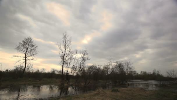 小さな川と曇りの天気。時間の経過 — ストック動画
