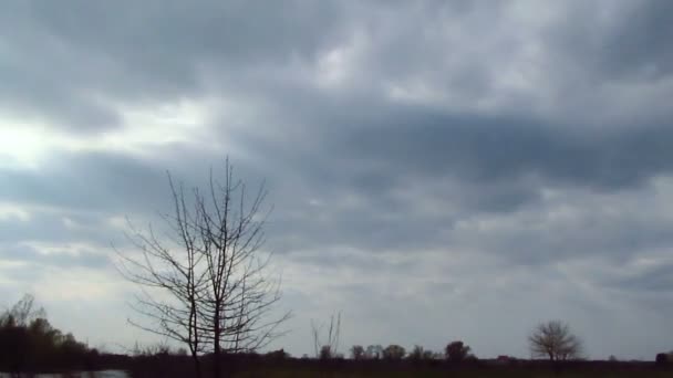 Zachmurzone niebo i drzewa. Upływ czasu NTSC — Wideo stockowe