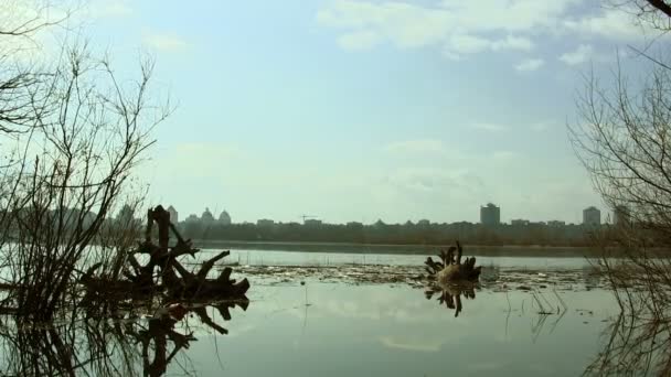 Ουρανό της πόλης του ποταμού — Αρχείο Βίντεο