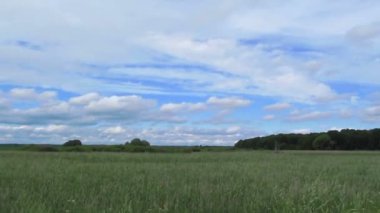 Çim ve gökyüzü. Zaman atlamalı