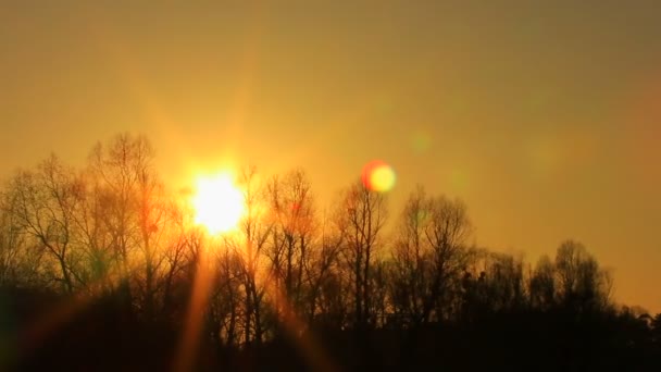 Paisaje con el sol al atardecer — Vídeo de stock