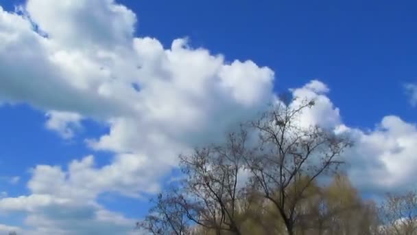 Σύννεφα και τα δέντρα. Πάροδο του χρόνου — Αρχείο Βίντεο