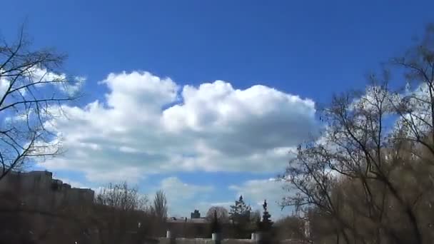 Wolken en bomen in de stad. Time-lapse — Stockvideo